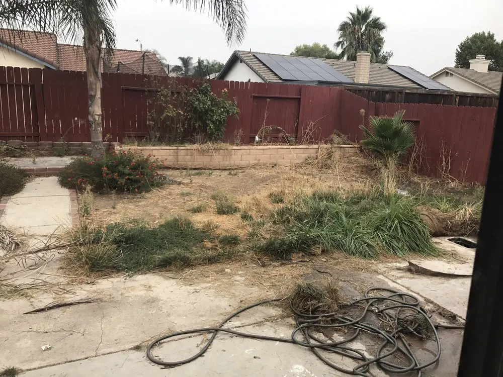 Top-rated yard maintenance for beautiful yards in Nuevo, CA by Ogots Landscape