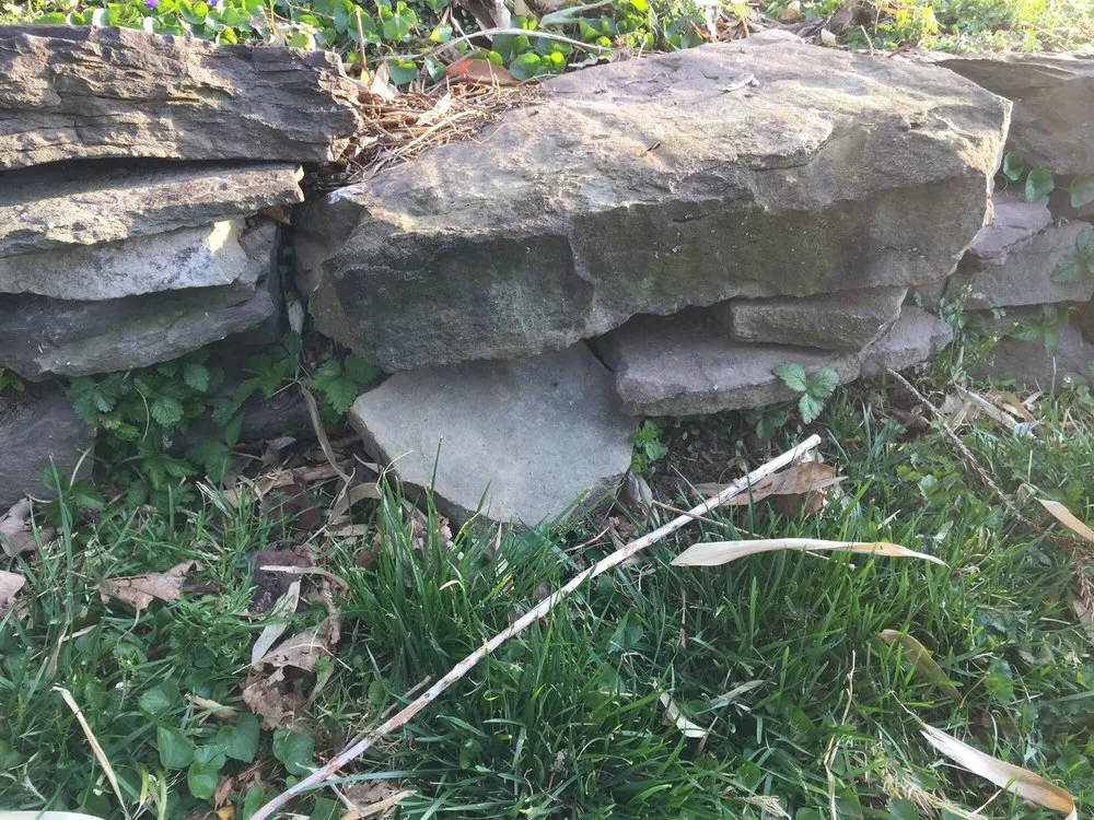 Local landscaping services with custom design in Falls Church, VA by O'Grady's Landscape and Lawn Care