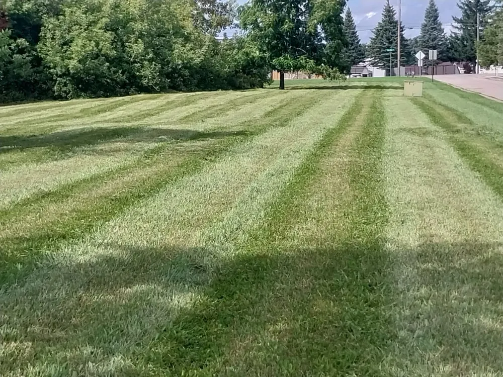 Affordable lawn care service for outdoor upgrades across Flint, MI - Ogs Lawn Care