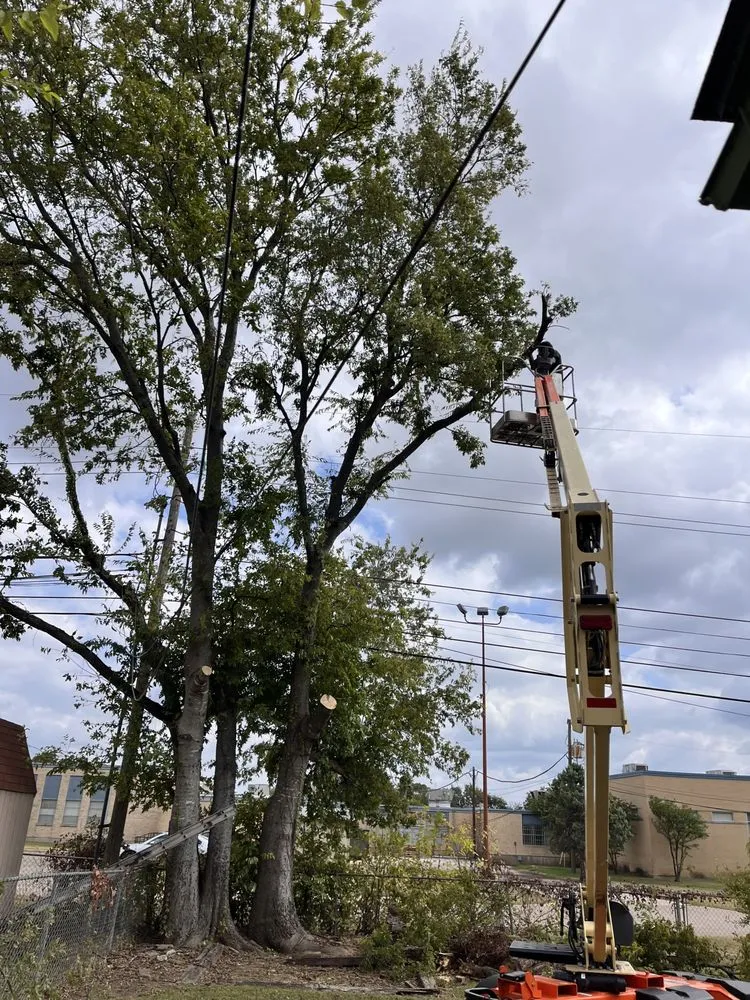 Top-rated garden landscaping for year-round maintenance across Killeen, TX - OG's Tree & Lawn services