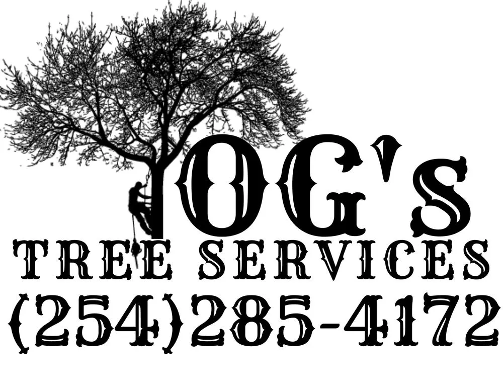 Reliable lawn care service experts serving Killeen, TX - OG's Tree & Lawn services