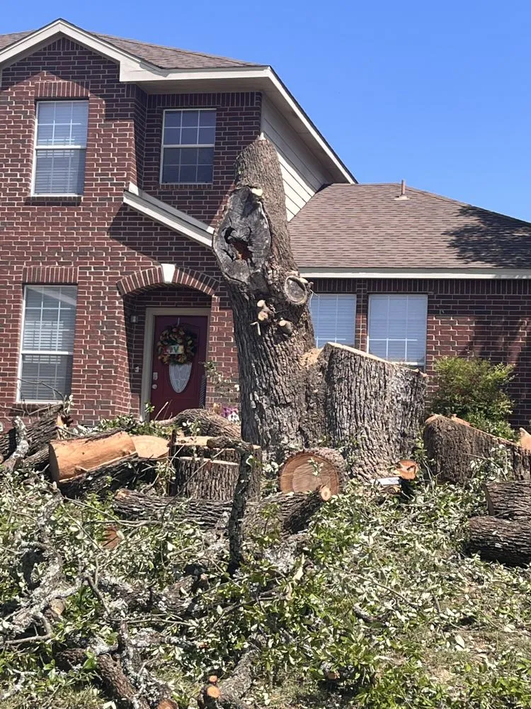 Trusted lawn mowing service experts serving Killeen, TX - OG's Tree & Lawn services