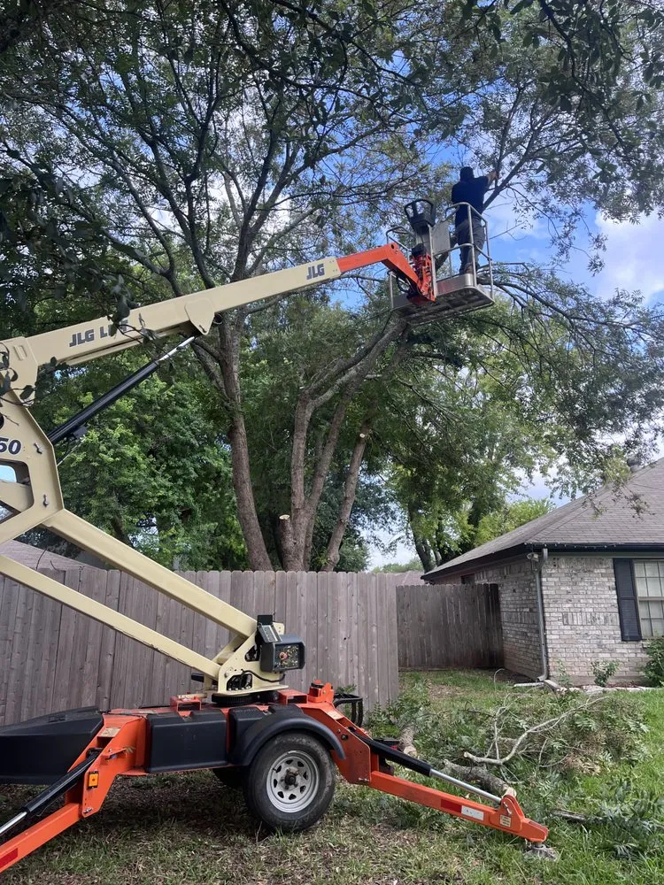 Reliable lawn care service for year-round maintenance in Killeen, TX by OG's Tree & Lawn services