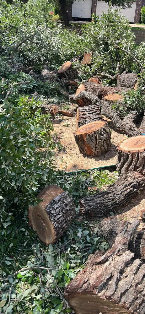 Reliable landscaping services for residential properties across Killeen, TX - OG's Tree & Lawn services