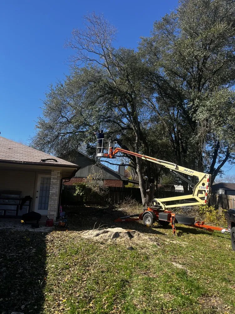 Local landscaping services for residential properties in Killeen, TX by OG's Tree & Lawn services