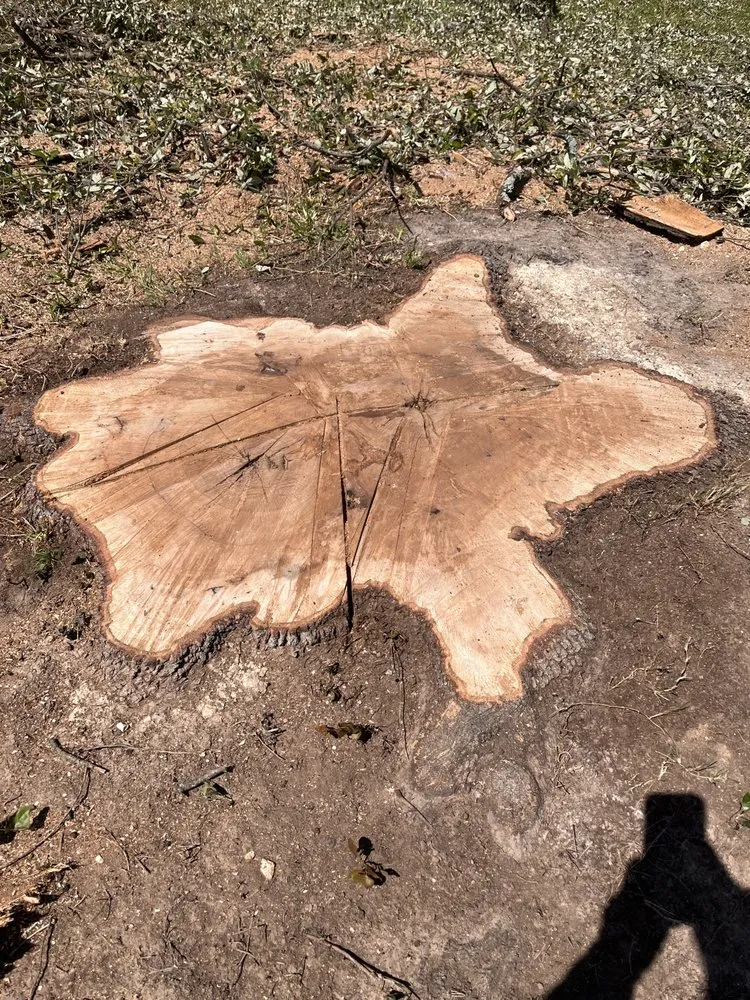 Local garden landscaping experts serving Killeen, TX - OG's Tree & Lawn services