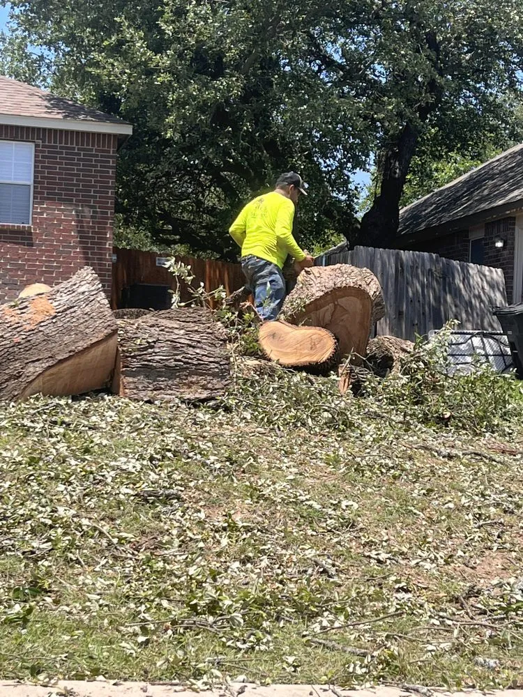 Reliable landscape installation experts serving Killeen, TX - OG's Tree & Lawn services