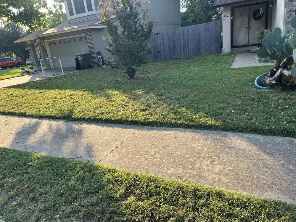 Professional landscape design for year-round maintenance across Austin, TX - Oh I Know A Guy