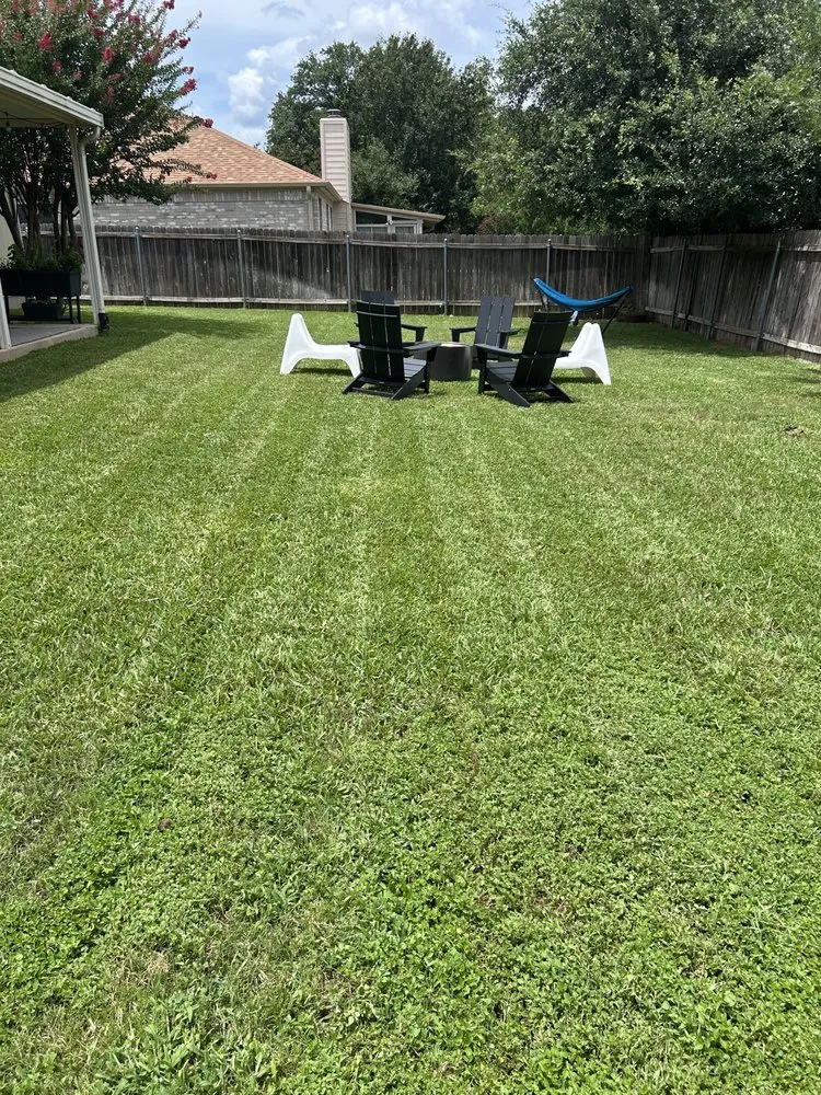 Professional residential landscaping for year-round maintenance across Austin, TX - Oh I Know A Guy