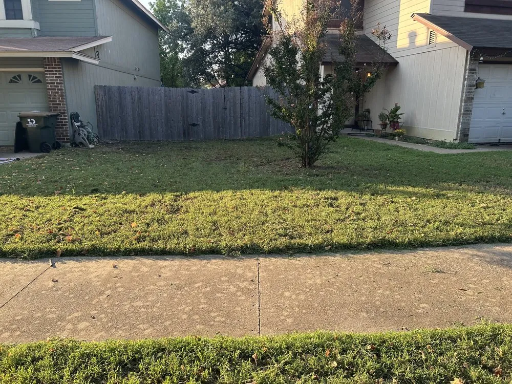 Local yard cleanup service experts serving Austin, TX - Oh I Know A Guy