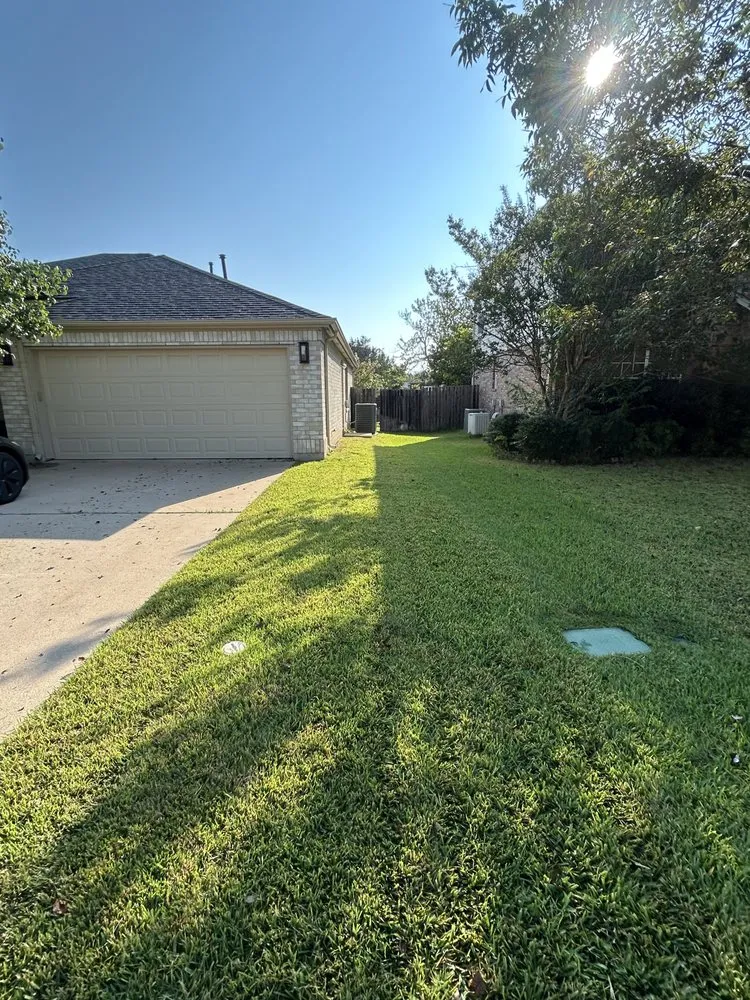 Professional lawn care service near you in Austin, TX by Oh I Know A Guy