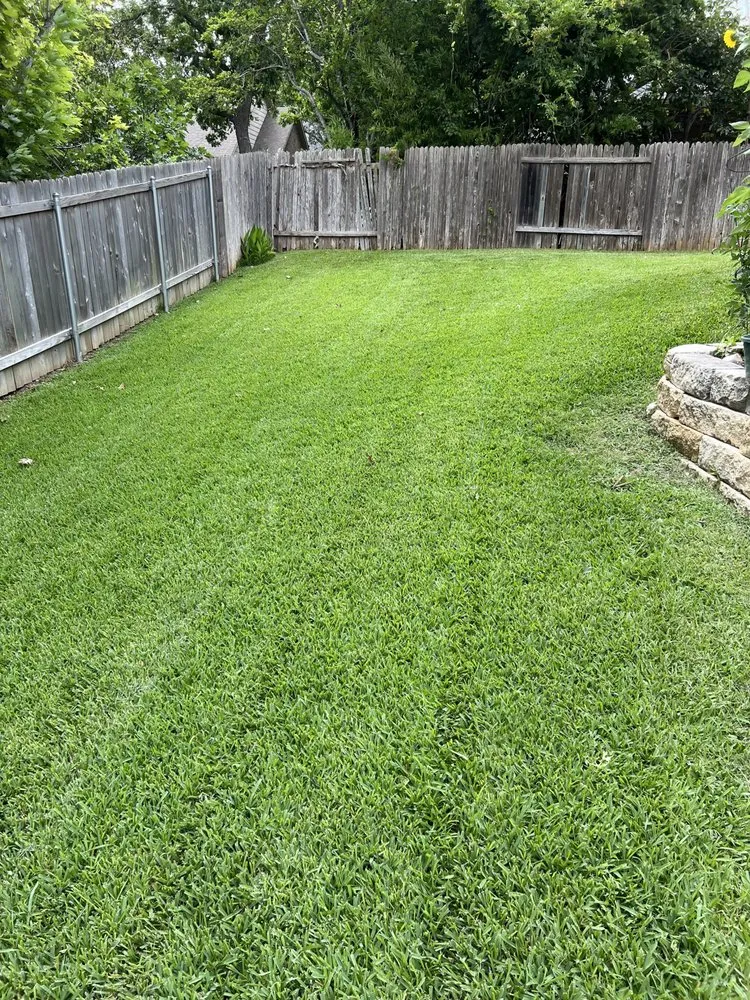 Affordable landscape installation in Austin, TX - Oh I Know A Guy