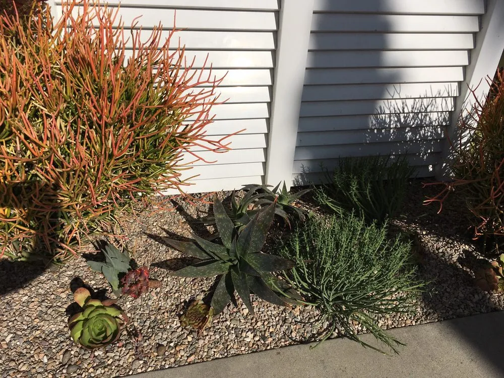 Custom outdoor landscaping in Costa Mesa, CA by Ohana Art Environments