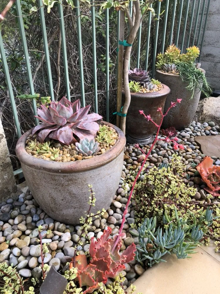 Affordable residential landscaping in Costa Mesa, CA by Ohana Art Environments