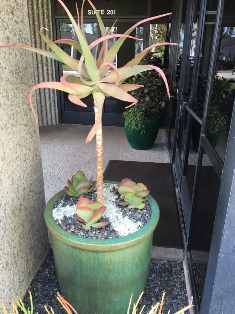 Expert landscape design in Costa Mesa, CA by Ohana Art Environments