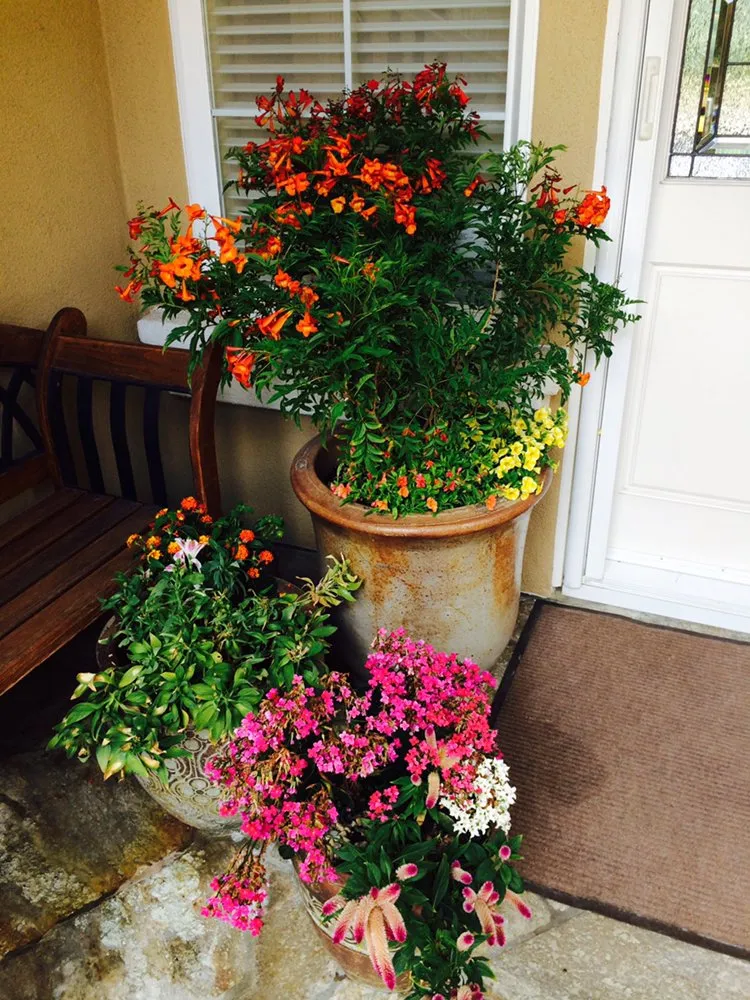 Reliable residential landscaping experts serving Costa Mesa, CA - Ohana Art Environments