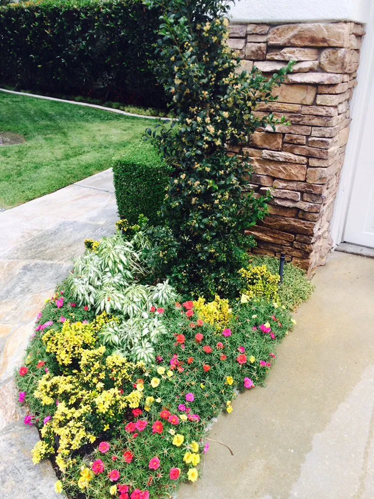 Top-rated residential landscaping for homes across Costa Mesa, CA - Ohana Art Environments