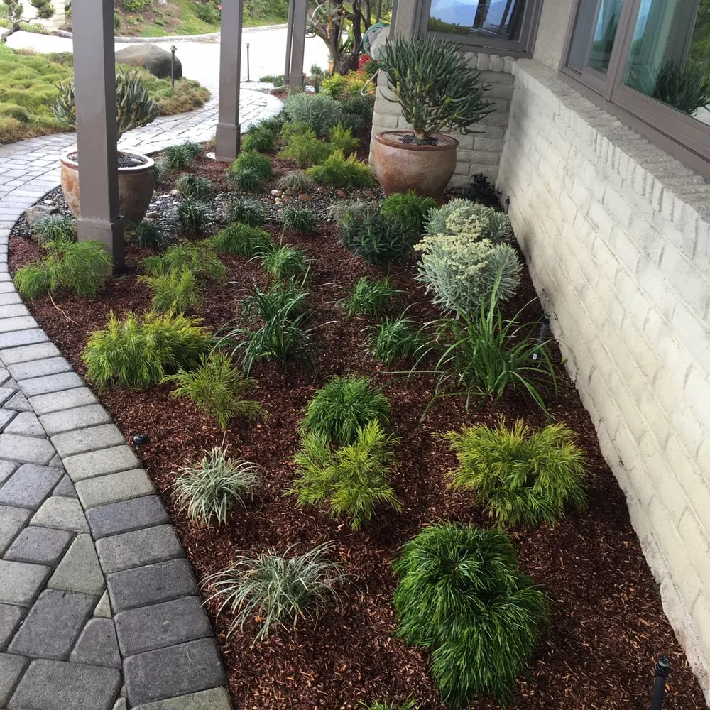 Reliable landscaping services for residential properties across Costa Mesa, CA - Ohana Art Environments
