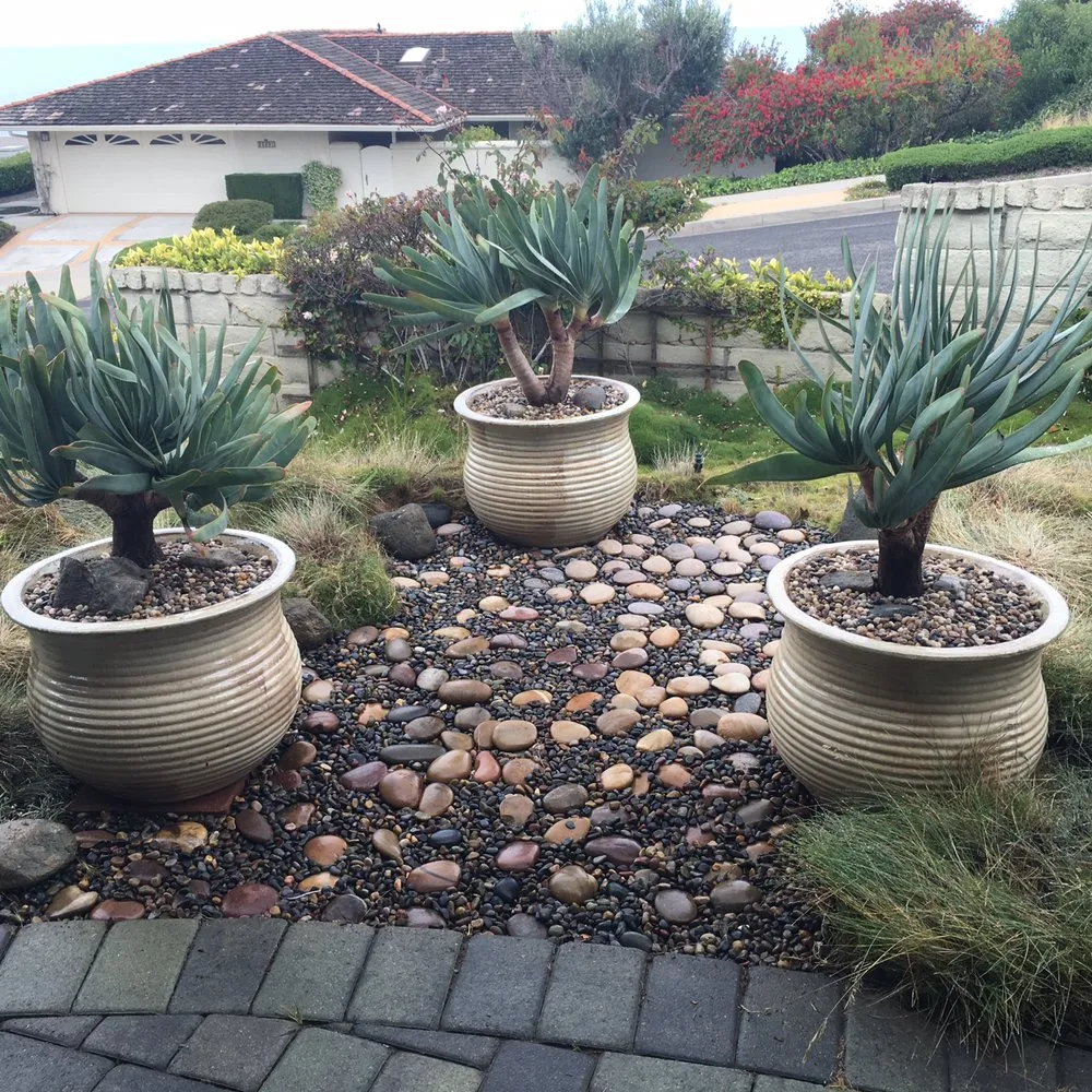 Expert lawn mowing service for year-round maintenance across Costa Mesa, CA - Ohana Art Environments