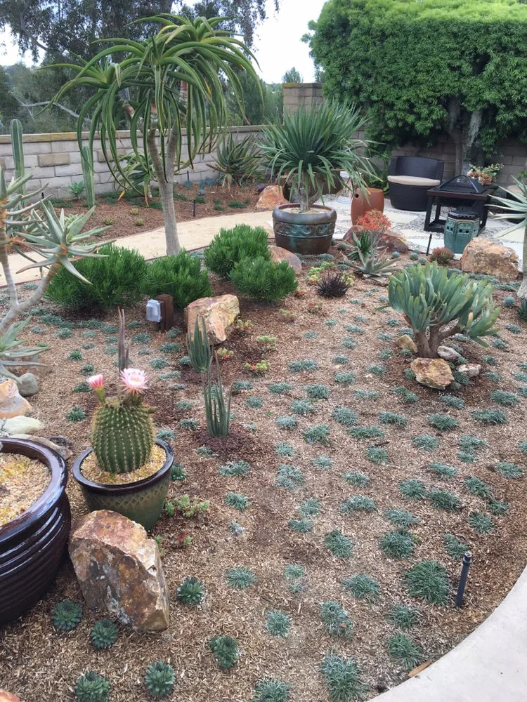 Affordable landscape design experts serving Costa Mesa, CA - Ohana Art Environments