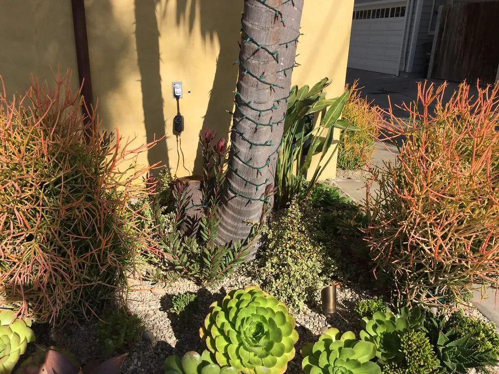 Local yard cleanup service in Costa Mesa, CA - Ohana Art Environments