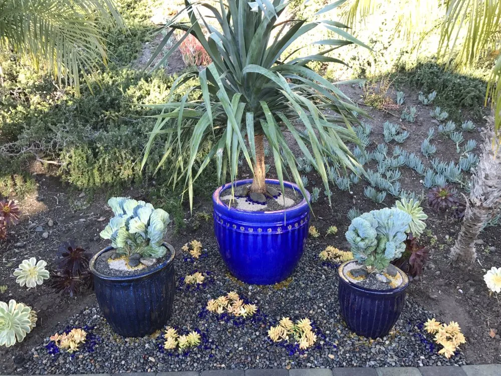 Professional landscaping services experts serving Costa Mesa, CA - Ohana Art Environments