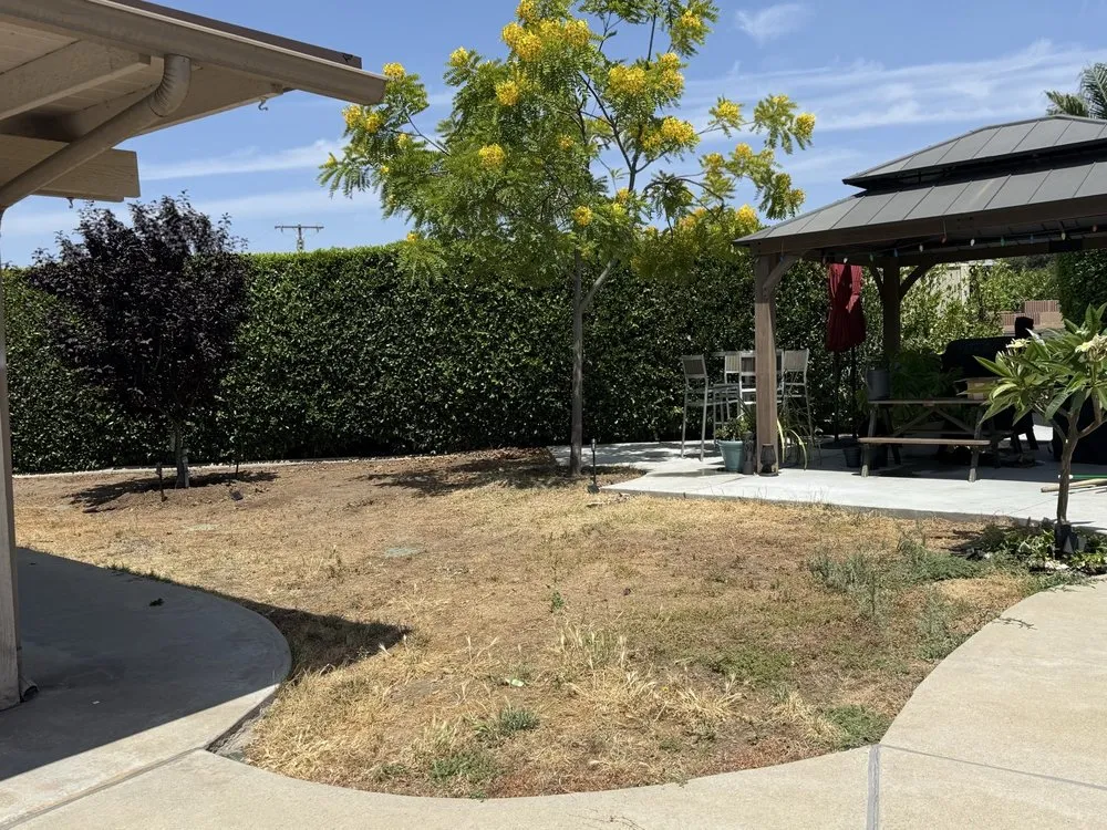 Custom yard cleanup service in Long Beach, CA by Ohana Artificial Turf Company