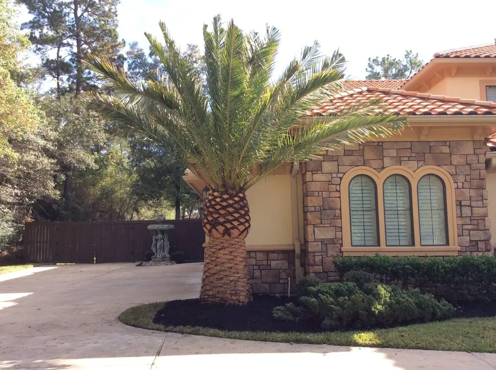 Affordable lawn mowing service experts serving Mission, TX - Ohana Construction & Landscaping