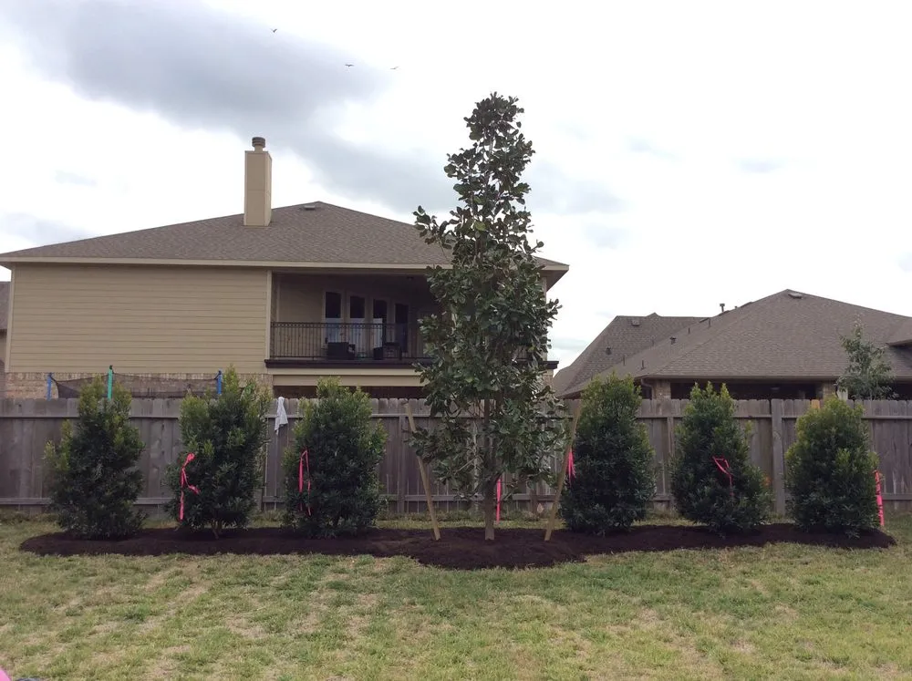 Trusted residential landscaping in Mission, TX by Ohana Construction & Landscaping