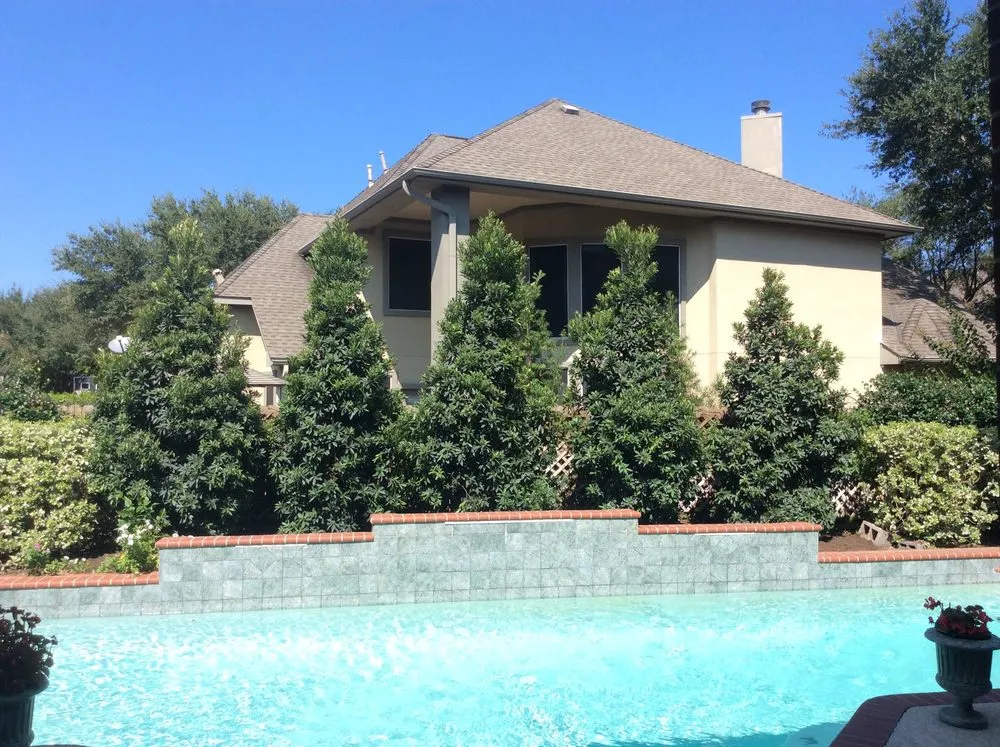 Affordable yard cleanup service for year-round maintenance across Mission, TX - Ohana Construction & Landscaping