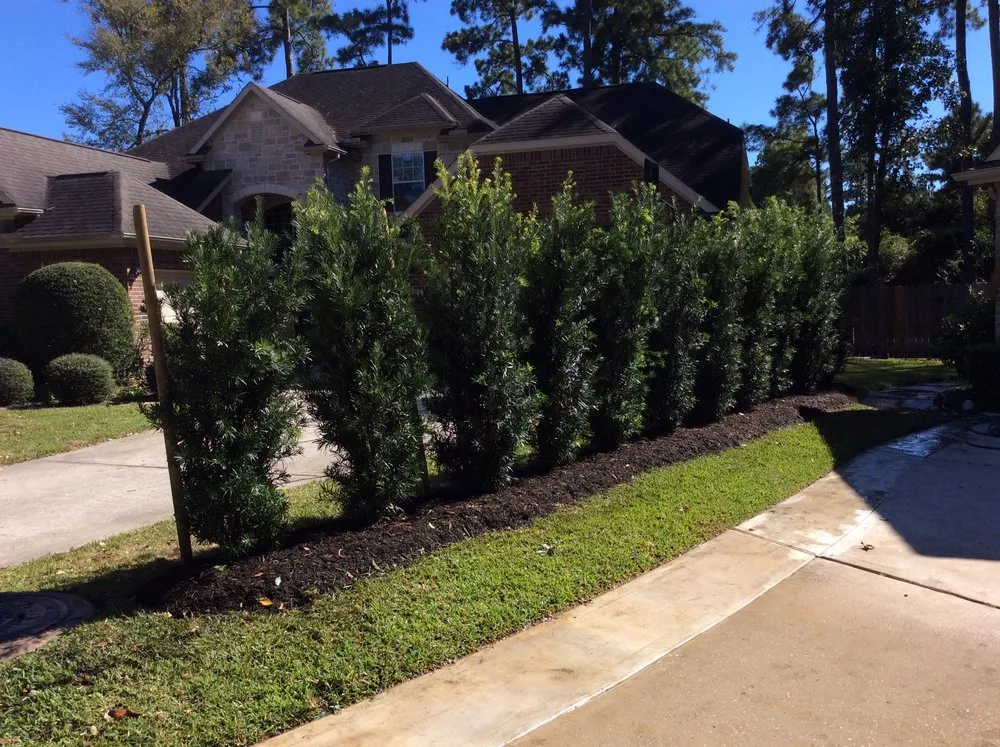 Local landscape installation for beautiful yards in Mission, TX by Ohana Construction & Landscaping