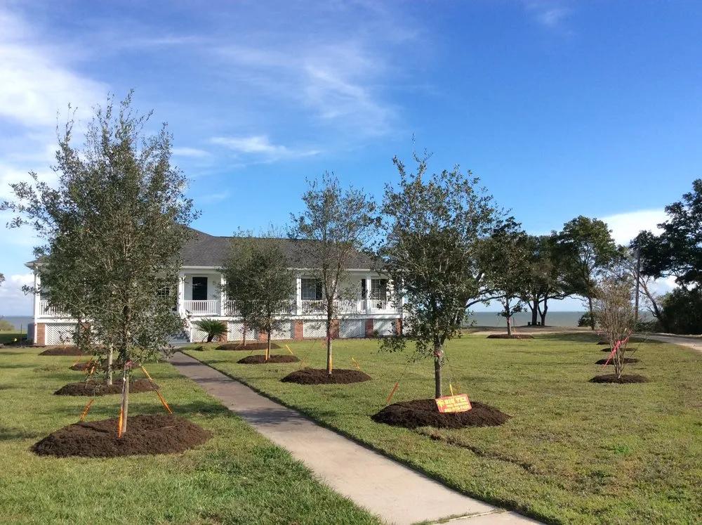 Top-rated lawn mowing service for outdoor upgrades in Mission, TX by Ohana Construction & Landscaping