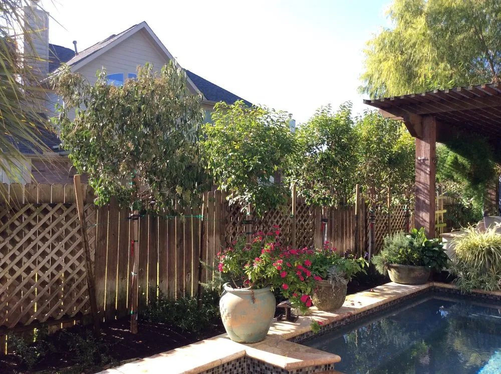 Trusted yard maintenance for beautiful yards in Mission, TX by Ohana Construction & Landscaping