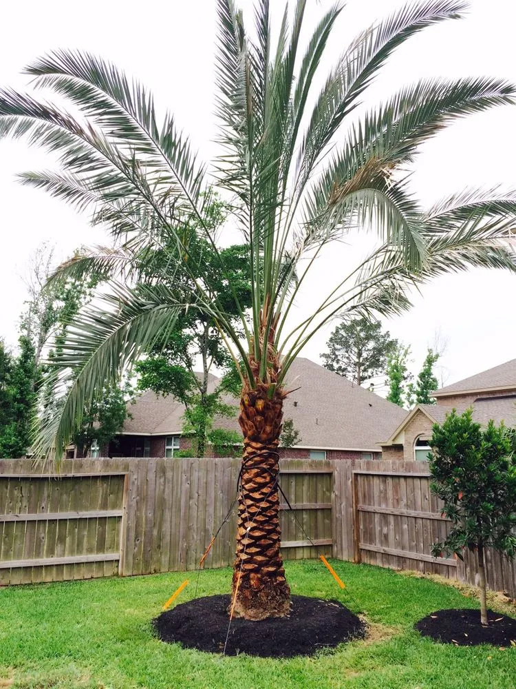 Reliable garden landscaping experts serving Mission, TX - Ohana Construction & Landscaping