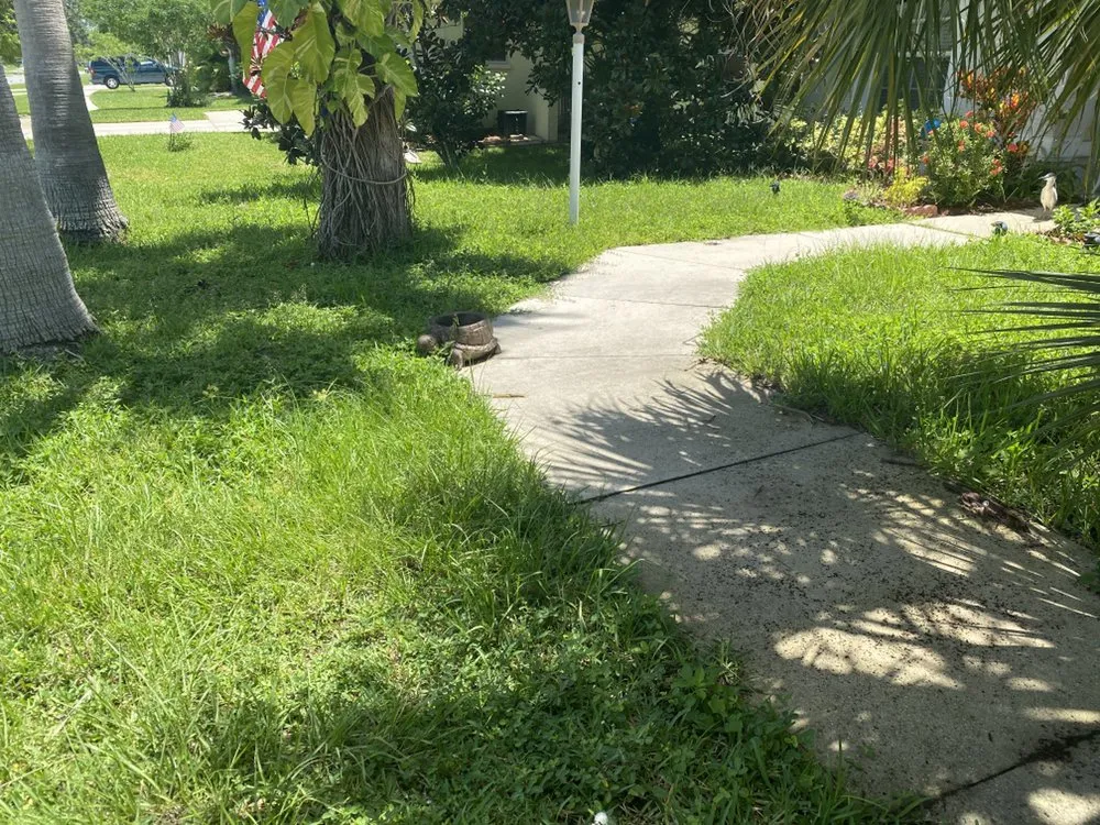 Top-rated yard maintenance experts serving Venice, FL - Ohana Handiwork