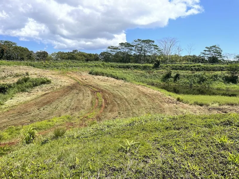 Professional lawn care service in Lihue, HI - Ohana Land Management
