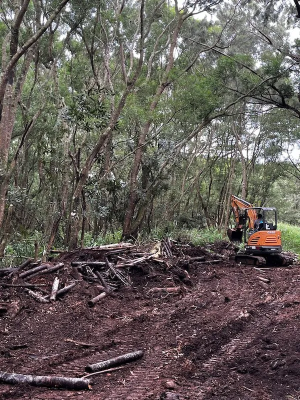 Expert garden landscaping in Lihue, HI by Ohana Land Management
