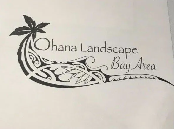 Custom outdoor landscaping for outdoor upgrades in Castro Valley, CA by Ohana Landscape Bay Area