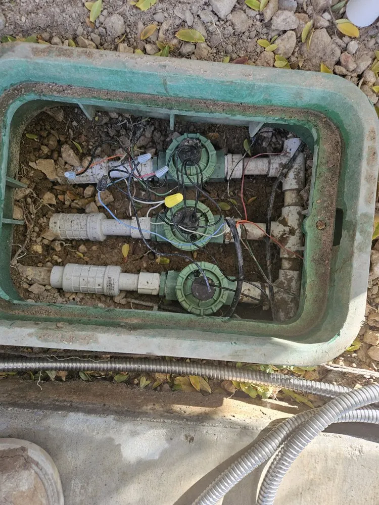 Trusted yard cleanup service in Las Vegas, NV by Ohana Landscape