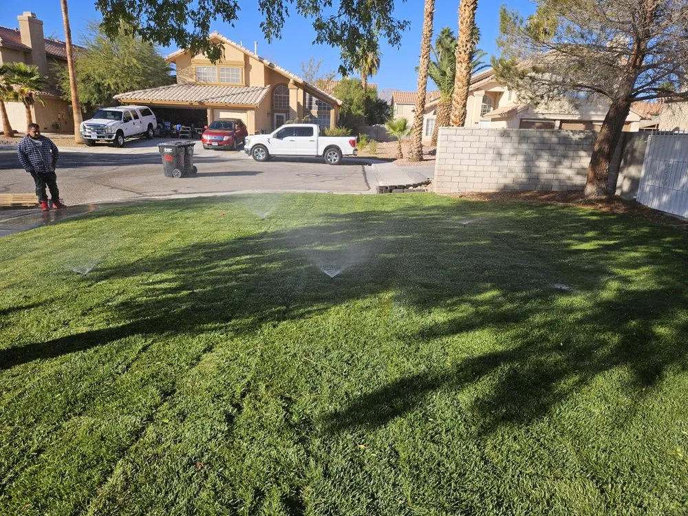 Professional landscape installation in Las Vegas, NV - Ohana Landscape