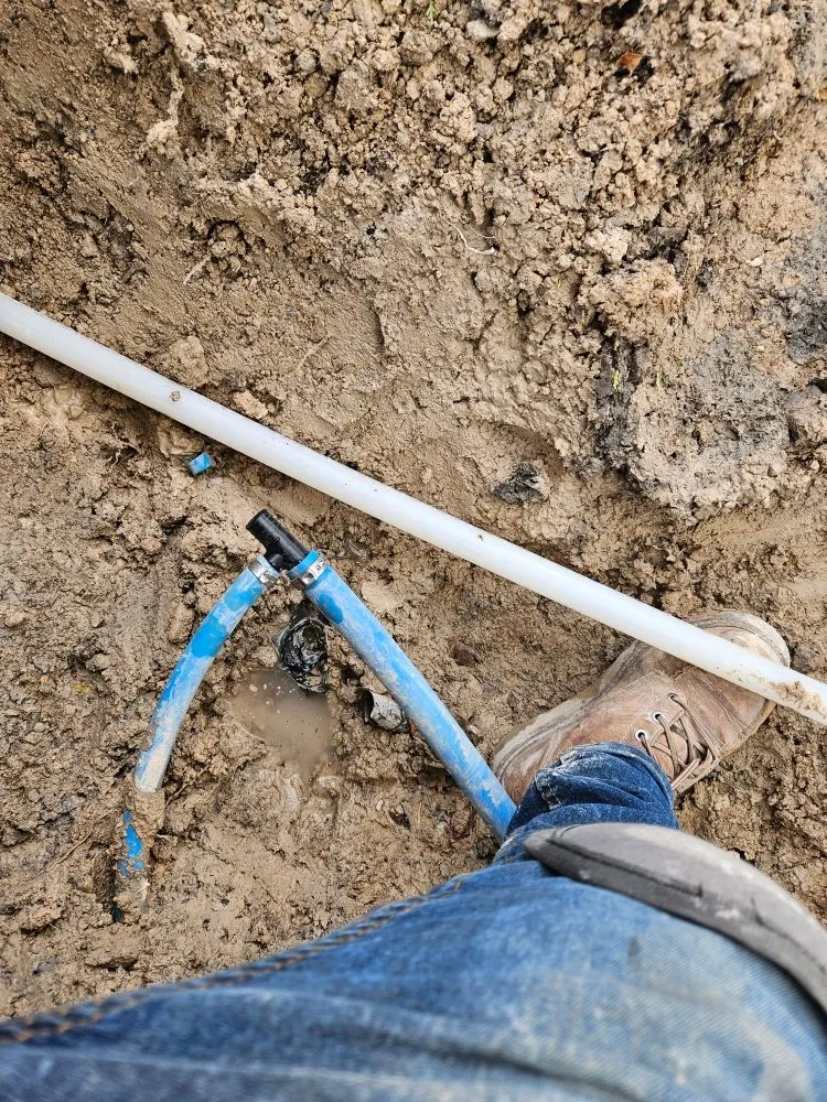 Custom yard maintenance for homes in Las Vegas, NV by Ohana Landscape