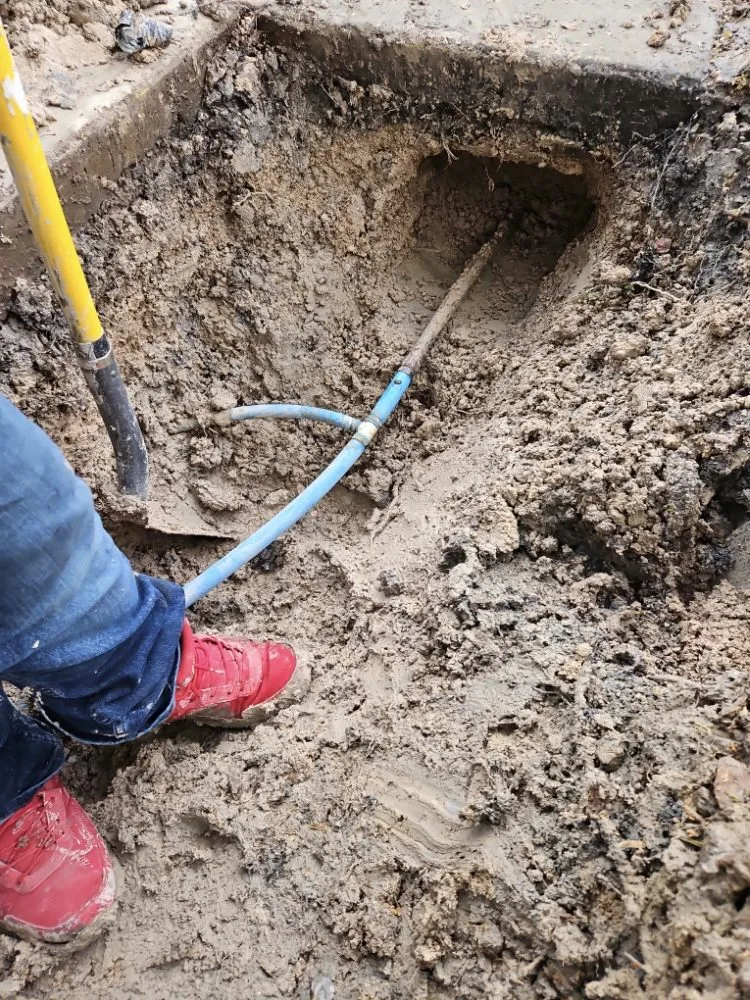 Trusted garden landscaping in Las Vegas, NV by Ohana Landscape