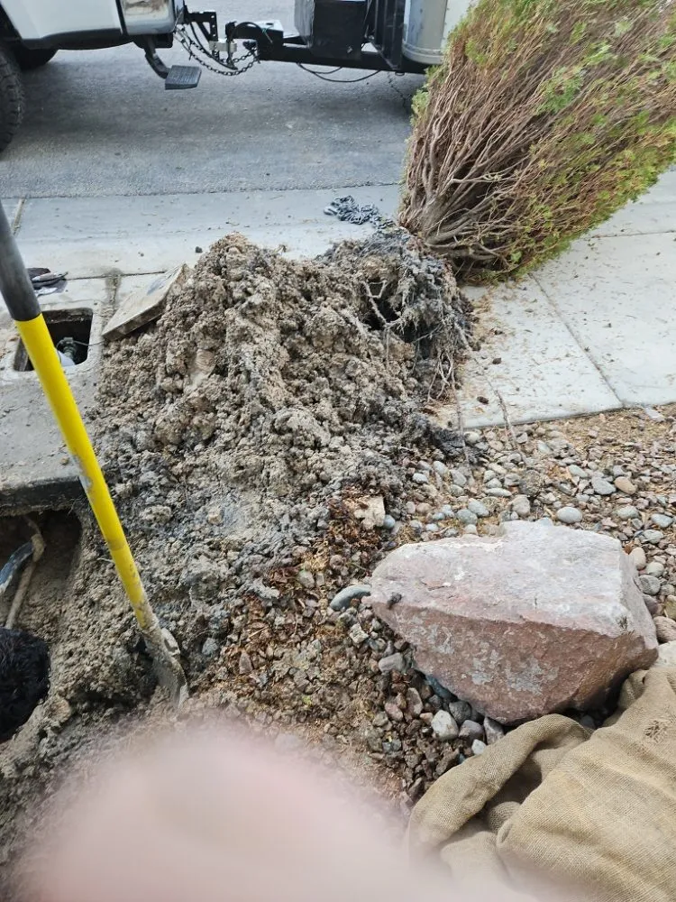 Reliable landscape installation in Las Vegas, NV by Ohana Landscape