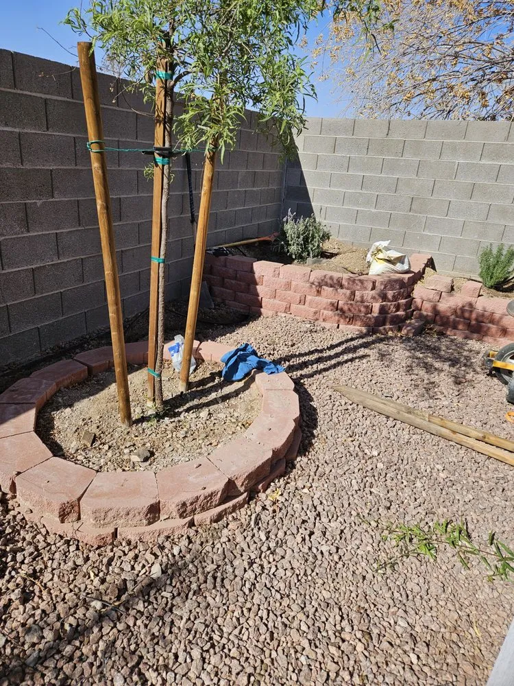 Affordable yard maintenance in Las Vegas, NV - Ohana Landscape