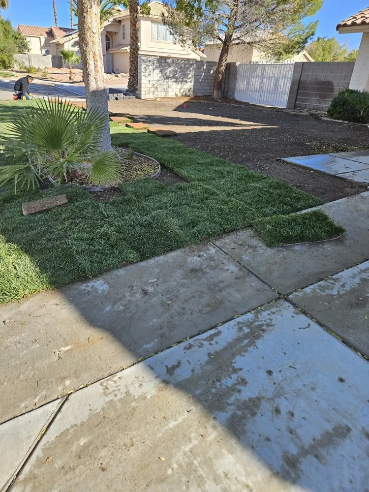 Trusted landscape installation for homes in Las Vegas, NV by Ohana Landscape
