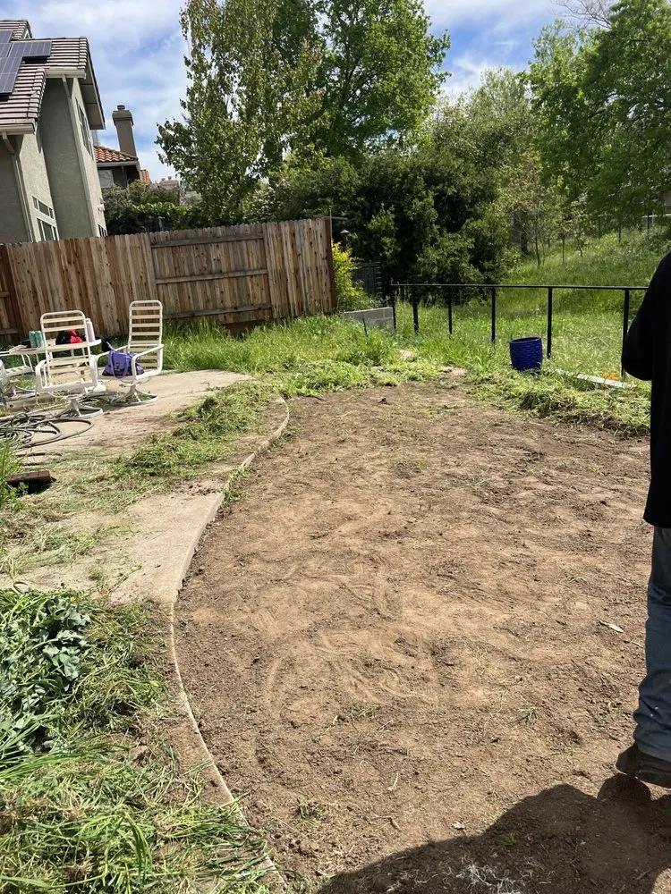 Local garden landscaping in Tacoma, WA - Ohana Landscaping & Tree Service