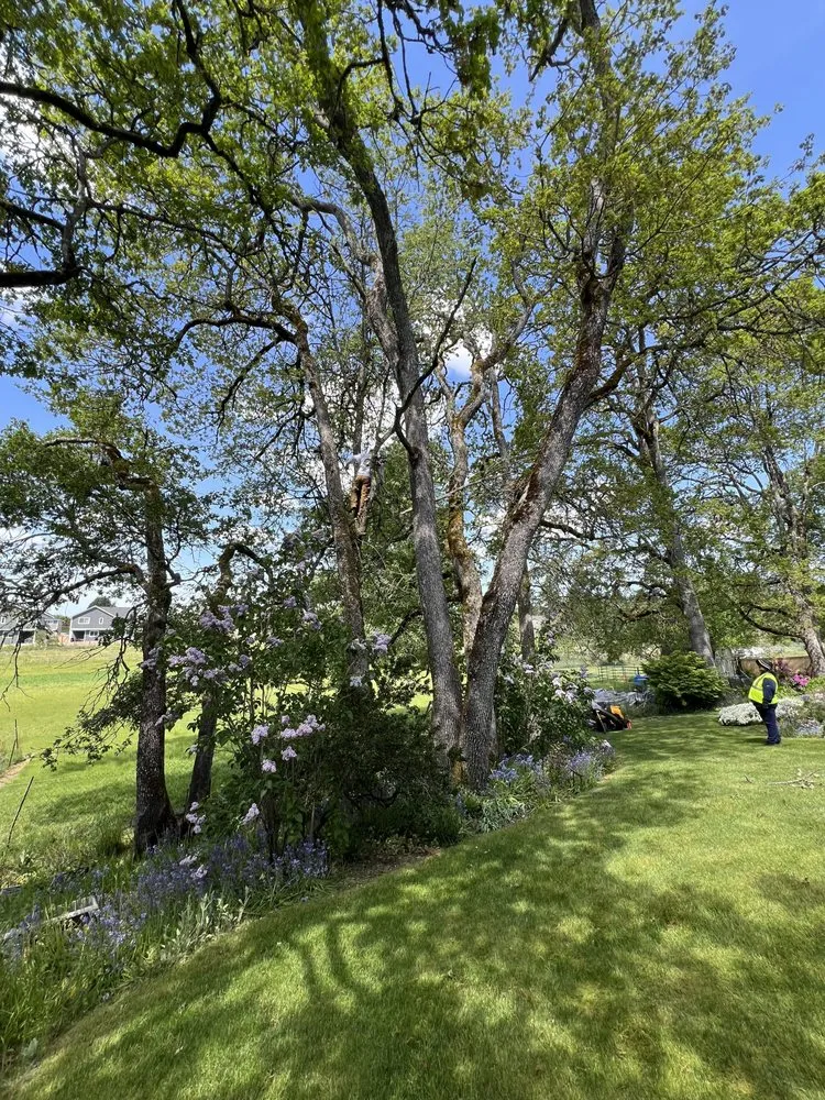 Trusted lawn mowing service experts serving Tacoma, WA - Ohana Landscaping & Tree Service