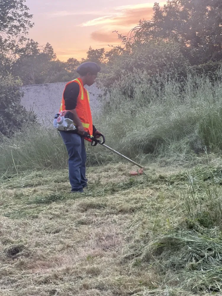 Top-rated landscape installation for year-round maintenance in Tacoma, WA by Ohana Landscaping & Tree Service