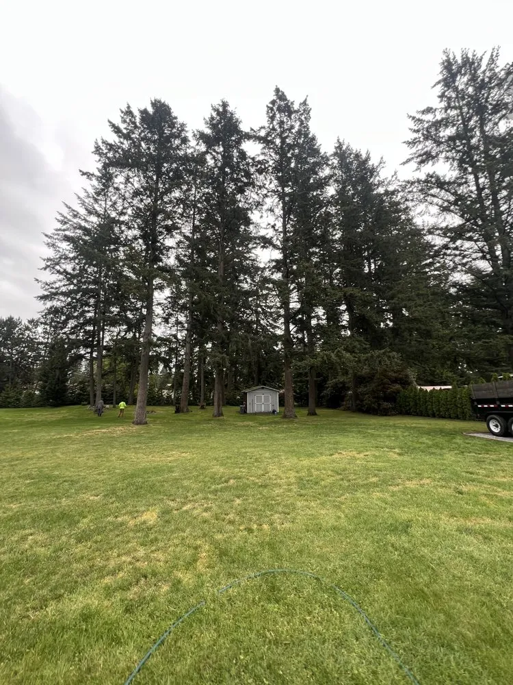 Professional residential landscaping in Tacoma, WA by Ohana Landscaping & Tree Service