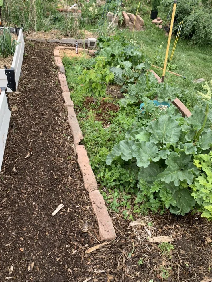 Affordable garden landscaping in Evans, CO by Ohana Landscaping and Maintenances